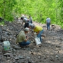 Fanily Rocks & Fossil Field Trips