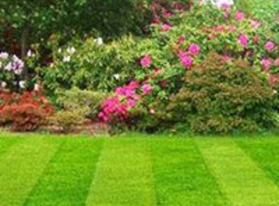 Stanley's Simply Green Lawn Maintenance & Landscaping - High Point, NC