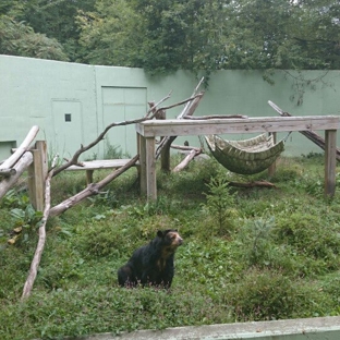 Ross Park Zoo - Binghamton, NY
