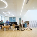 Olde Towne Pet Resort - Pet Services