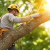 Yoos Tree Service gallery