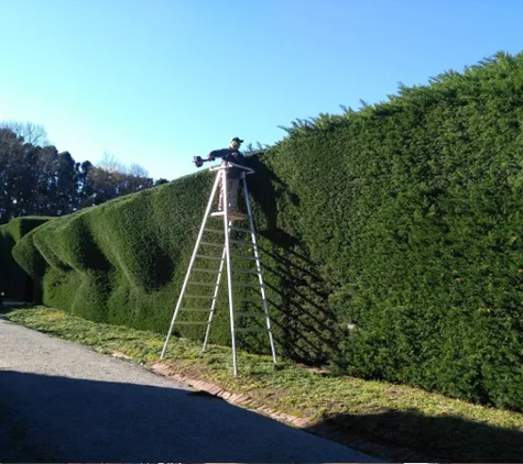 Hortum Tree Services - Jerrabomberra, NSW