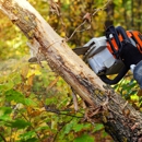 Wingate's Tree Service - Tree Service