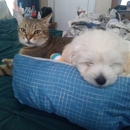 Bay Beach Veterinary Hospital - Veterinarians