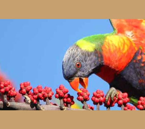 Byron Shire Council - Mullumbimby Library - Mullumbimby, NSW