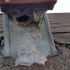 Dryer Vent Cleaning 24/7 gallery