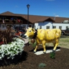 The Alp and Dell Cheese Store gallery