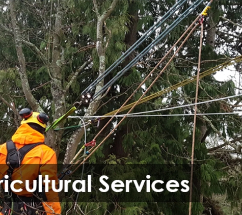 Global Arborist Australia - Port Melbourne, VIC. Arboricultural Services
