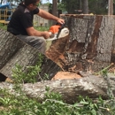 Matt McGinnis Tree Care - Tree Service