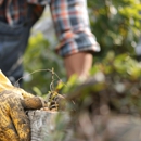 W&L Tree Services & Landscaping - Tree Service