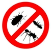 Bonas Pest Control Inc gallery