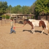 Discover Essential Horsemanship gallery