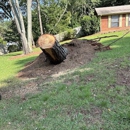 To Do Land Management - Tree Service