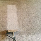Green Carpet Cleaning in Inglewood