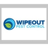 Wipeout Pest Control gallery
