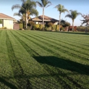 Tim's Lawn Maintenance - Gardeners