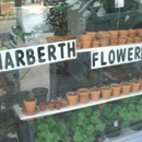 Narberth Flower Shop - Preserved Flowers