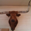 T & J Meat Packing Co gallery