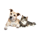 Pop-In Pet Sitters - Pet Boarding & Kennels