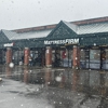Mattress Firm Rutland gallery