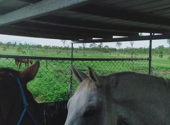 Round Mountain Horse Agistment - Pinnacles, QLD. They provide you with new ROUND MOUNTAIN SHIRTS