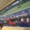 Ebro Greyhound Park & Poker Room gallery