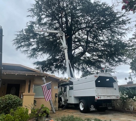 Quality Tree Service Inc - South El Monte, CA