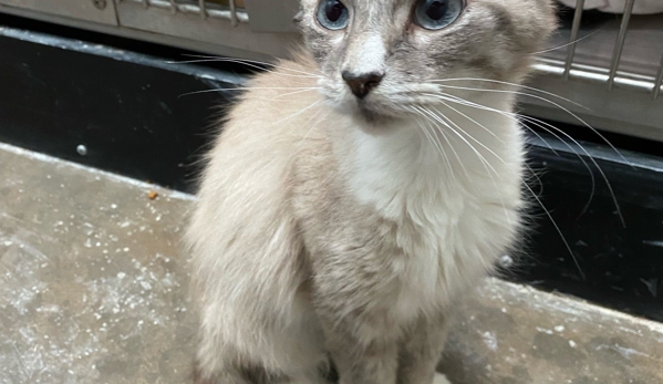 PetSmart - Falls Church, VA