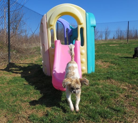 Country Comfort Kennels & Camp for Pets - Street, MD