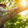 Garcia Tree Services gallery