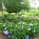 Four Season Nursery - Soil Testing