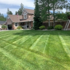 All Out Lawn & Landscaping
