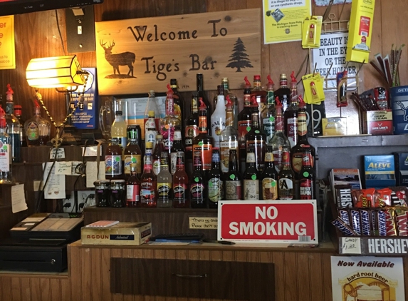 Tige's Bar - Mass City, MI