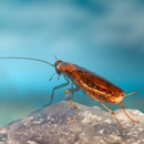 D & G Exterminating Co Inc - Pest Control Equipment & Supplies