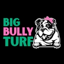 Big Bully Turf - Landscape Designers & Consultants