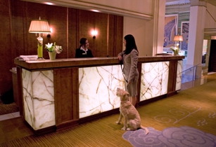 Hotel deLuxe Portland Pet Room Service Menu