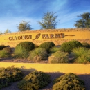 Edgestone at Gladden Farms By Richmond American Homes