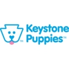 Keystone Puppies gallery
