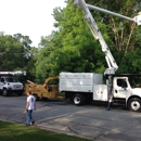 Parkman Tree Service Inc - Arborists