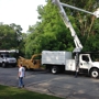 Parkman Tree Service Inc