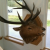 Frontier Suites Airport Hotel gallery