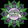 Magnolia Road Cannabis Co. - Broomfield Dispensary gallery