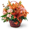 Dayspring Flowers & Gifts gallery