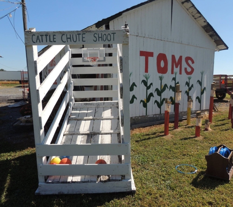 Toms' Corn Maze - Lebanon, PA