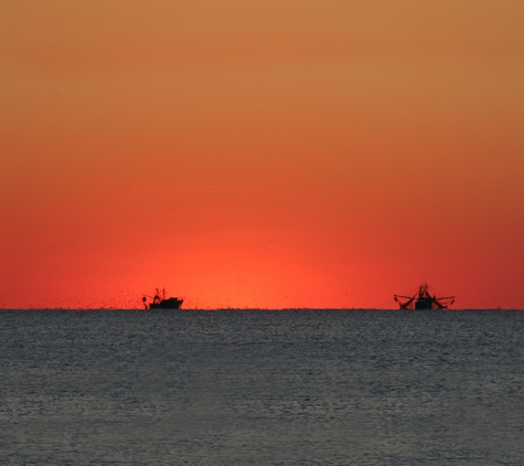 Bald Head Island Life