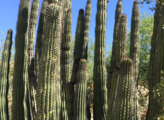 Tohono Chul Garden Bistro - Tucson, AZ