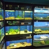 Aquatic Critter Inc gallery