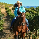 Prime Horse Property Beth Good - Real Estate Developers
