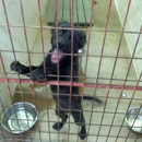 City of Lawton Animal Control Shelter