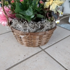 Carousel Florist